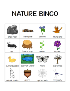 Nature Bingo Printable Activity Take A Hike With Your | Printable Bingo ...