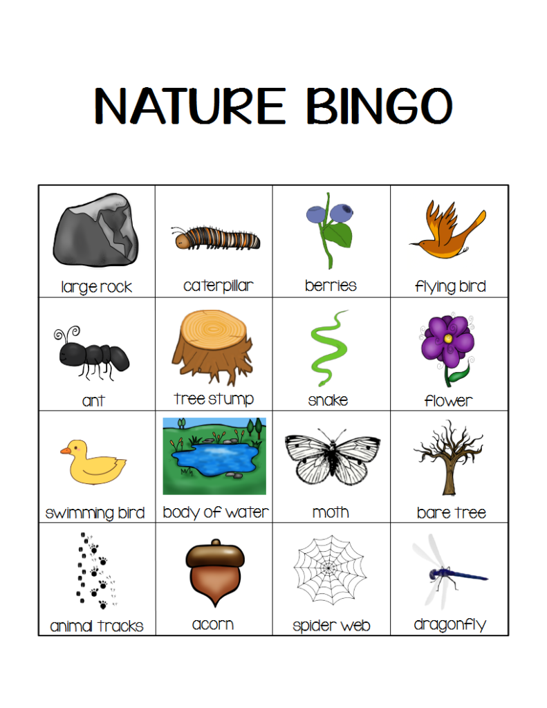 nature bingo printable free
