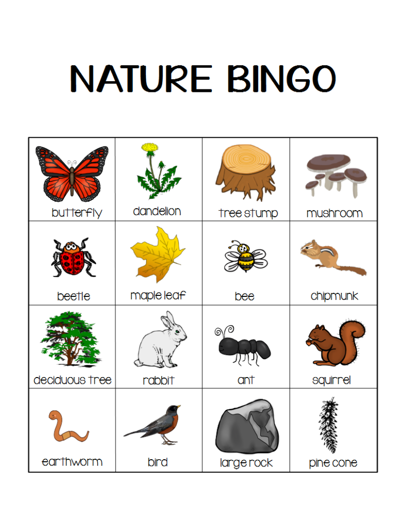 printable nature bingo