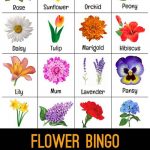 Flower Bingo Flower Games Flowers Name List Flower Names