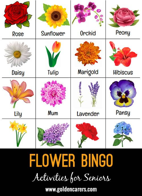 Flower Bingo Flower Games Flowers Name List Flower Names