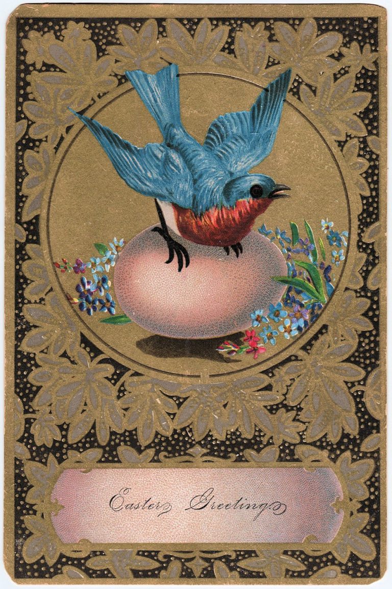 Free Vintage Clip Art Amazing Bluebird With Egg The