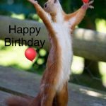 Pin By Gail Liden On Verjaardagskaarten Happy Birthday