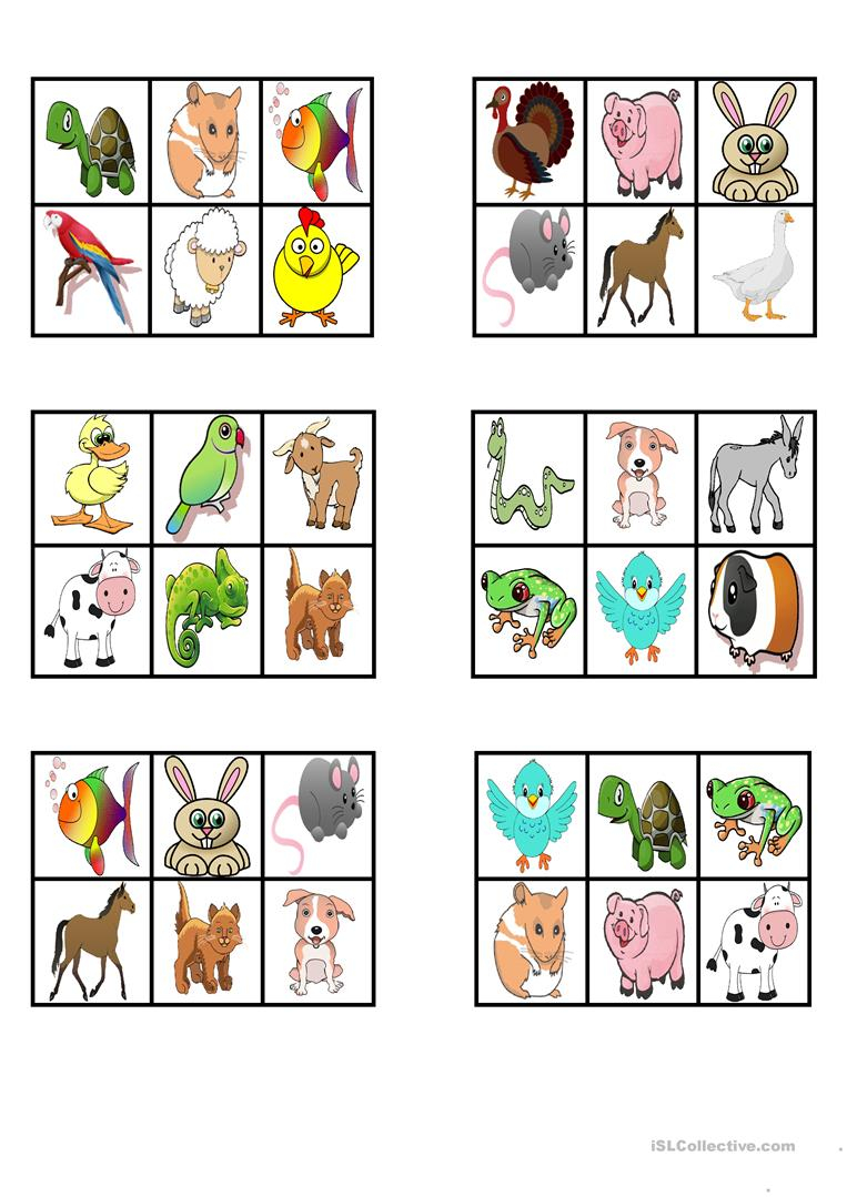 PETS Bingo English ESL Worksheets For Distance 