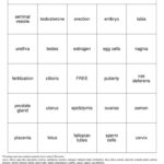 4 Play Buzz BINGO Bingo Cards To Download Print And Customize