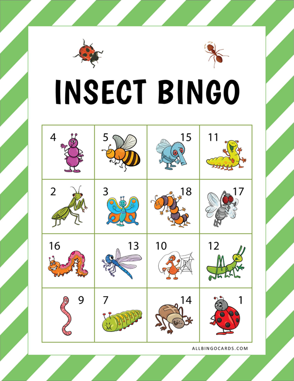 Printable Insect Bingo Cards